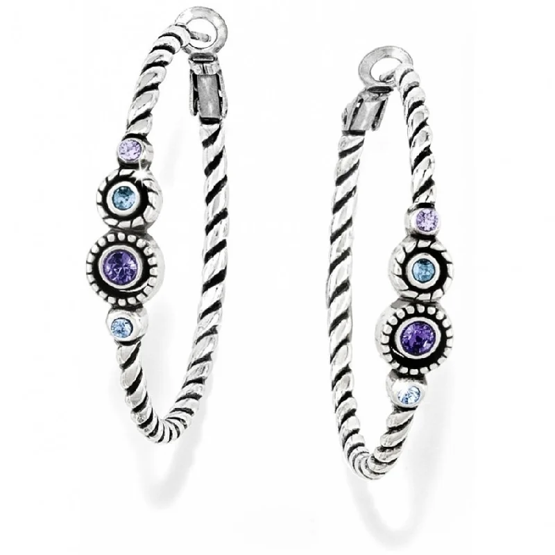 Women’s elegant earrings-Halo Hoop Earrings