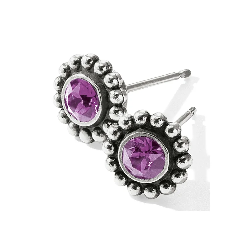 Women’s pearl drop earrings-Amethyst Twinkle Mini Post Earrings-February